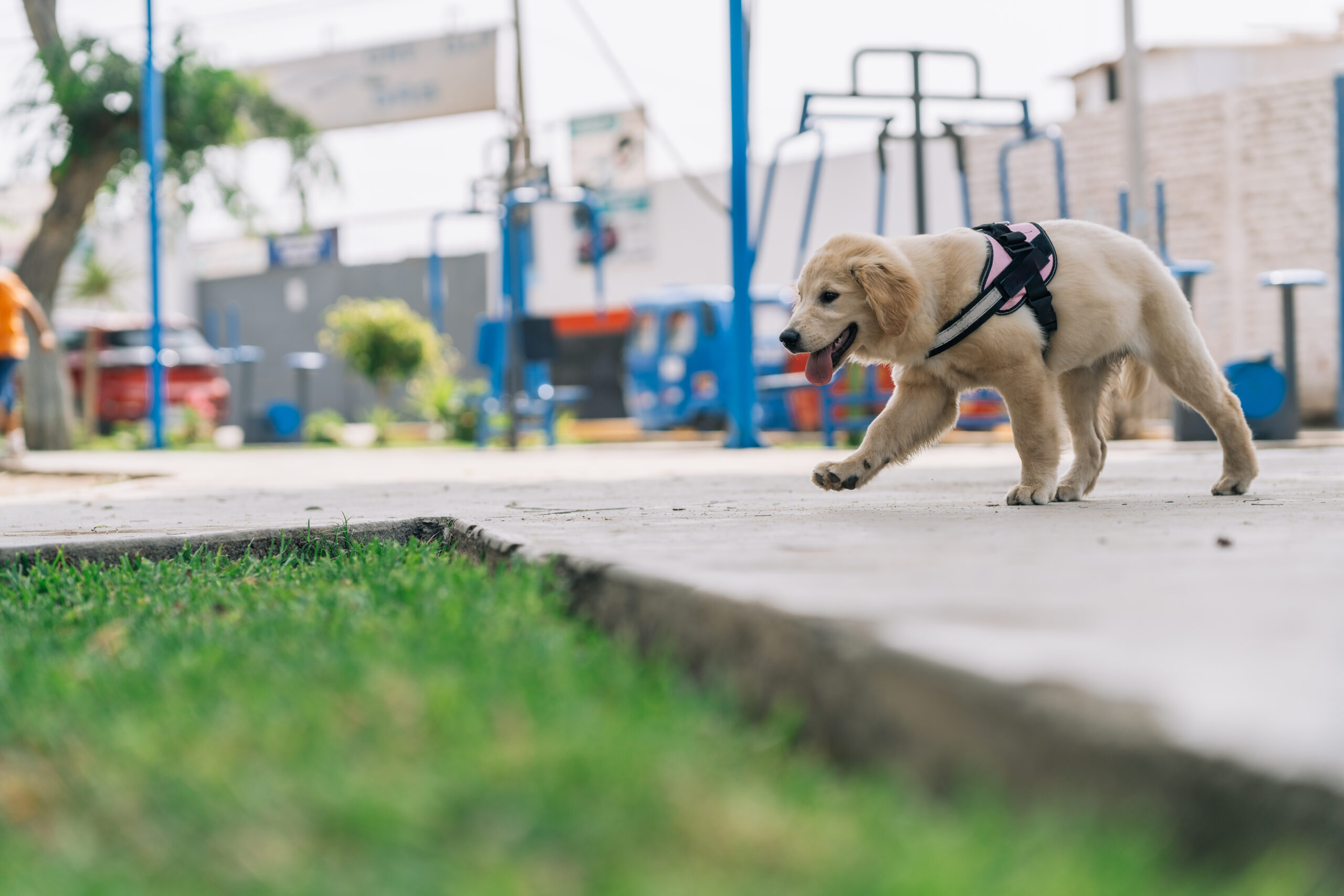 Pooblicão - Condomínios